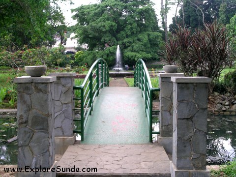 Bogor Botanical Garden | The Best Park for Picnic and Learning Botany