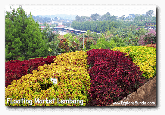 Floating Market Lembang Rainbow Garden Kyotoku And