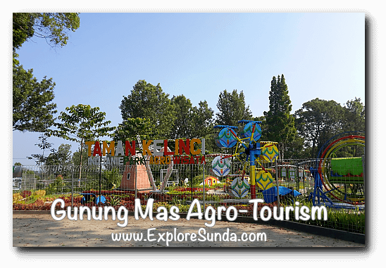 Gunung Mas Agro Tourism In Puncak