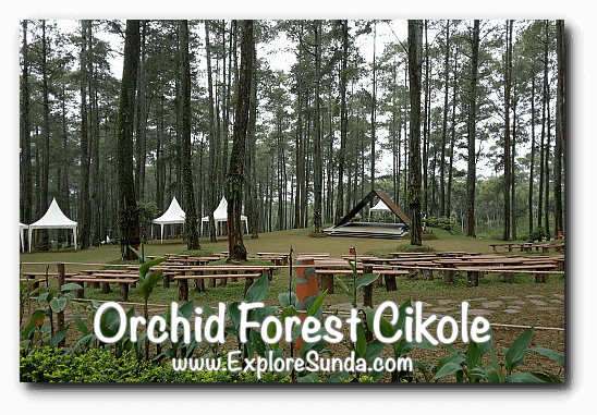 Orchid Forest Cikole Lembang