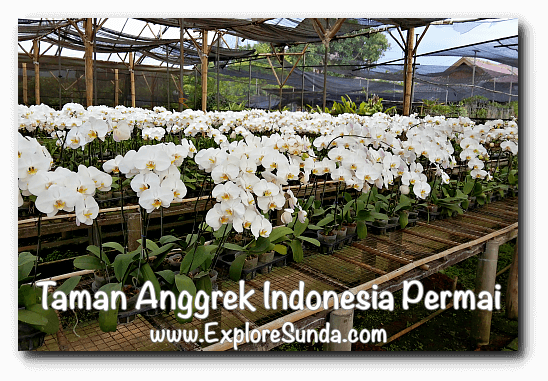 Taman Anggrek Indonesia Permai In Jakarta