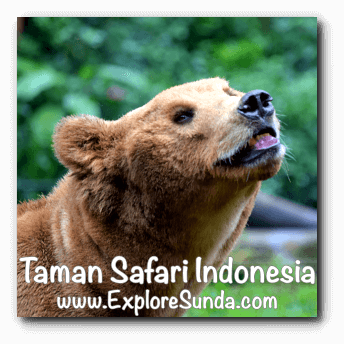 Taman Safari Indonesia In Cisarua Puncak