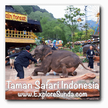 The Elephant Show in Plaza Gajah at Taman Safari Indonesia Cisarua Bogor.