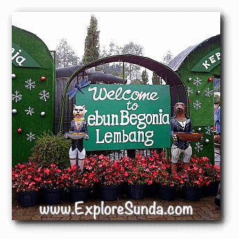 Begonia Garden In Maribaya Lembang