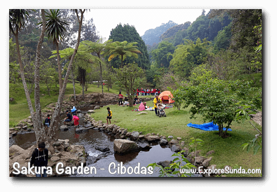 Cibodas botanical garden