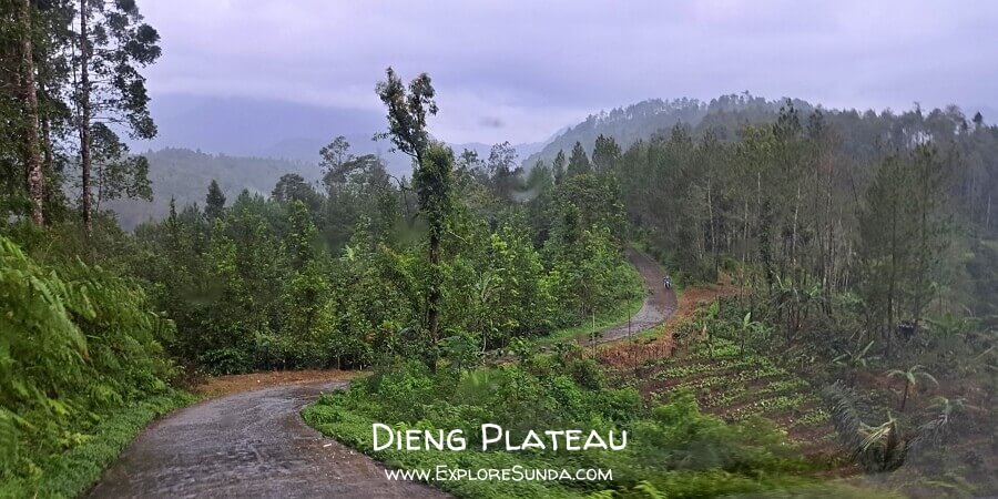 The beginning of the road from Bawang to Dieng Plateau. From here on, the road becomes more challenging.