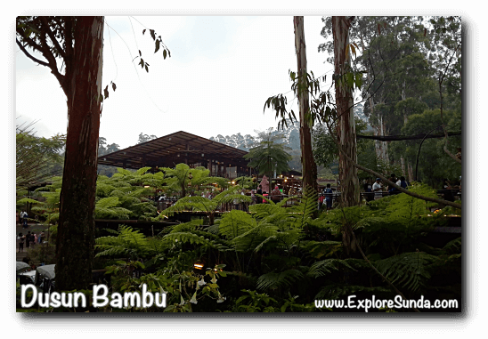 Dusun Bambu Bukan Sekedar Dusun Jember Traveler