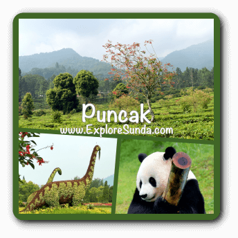 Puncak Pass The 1 Family Holiday Destination In The Land