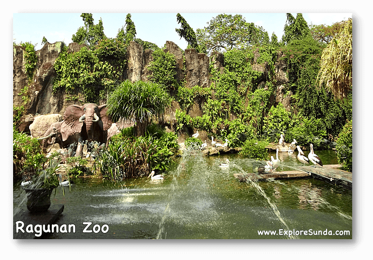 Ragunan Zoo, A Day Spent to See The Zoo and Have a Picnic in Jakarta