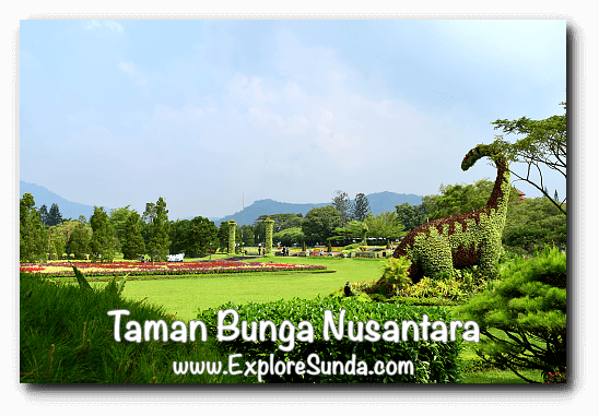 Taman Bunga Nusantara Cipanas Puncak