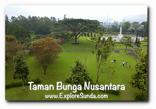  Taman  Bunga  Nusantara  Cipanas Puncak